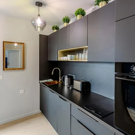 U Devíti Lvů Apartamento