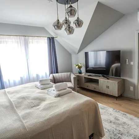 U Devíti Lvů Apartamento *