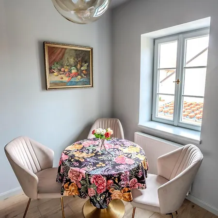 U Devíti Lvů Apartamento Bechyně