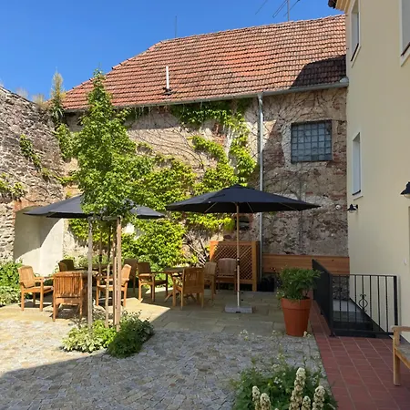 Daire U Deviti Lvu Bechyně