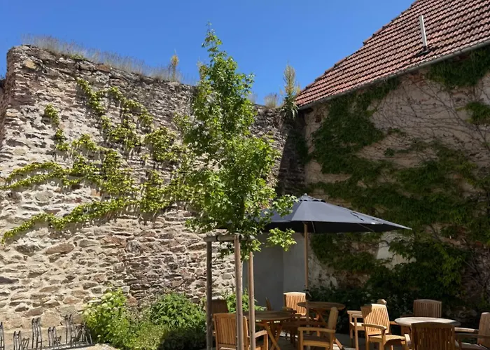 U Deviti Lvu Lägenhet Bechyně